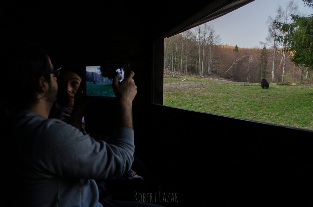 Taking pictures inside the bear hide