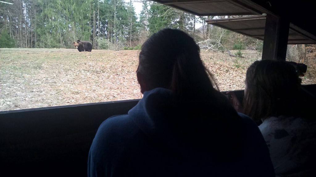 inside the bear hide with two tourists