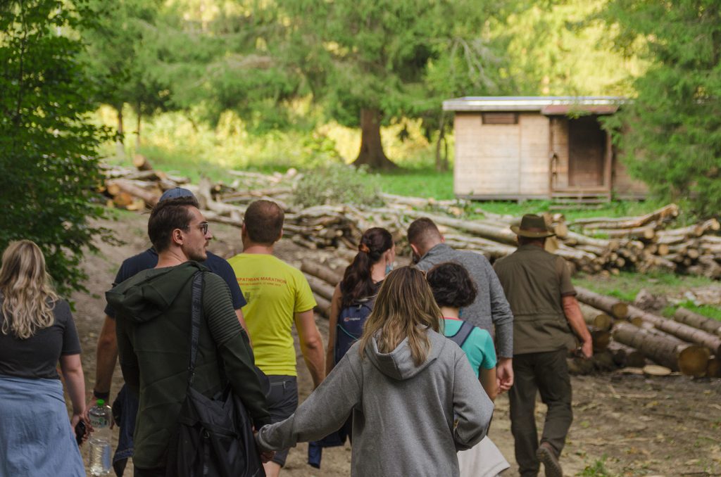 Logging behind the bear hide