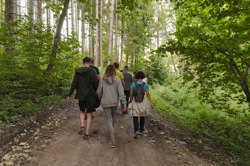Walking through the forest to the bear hide